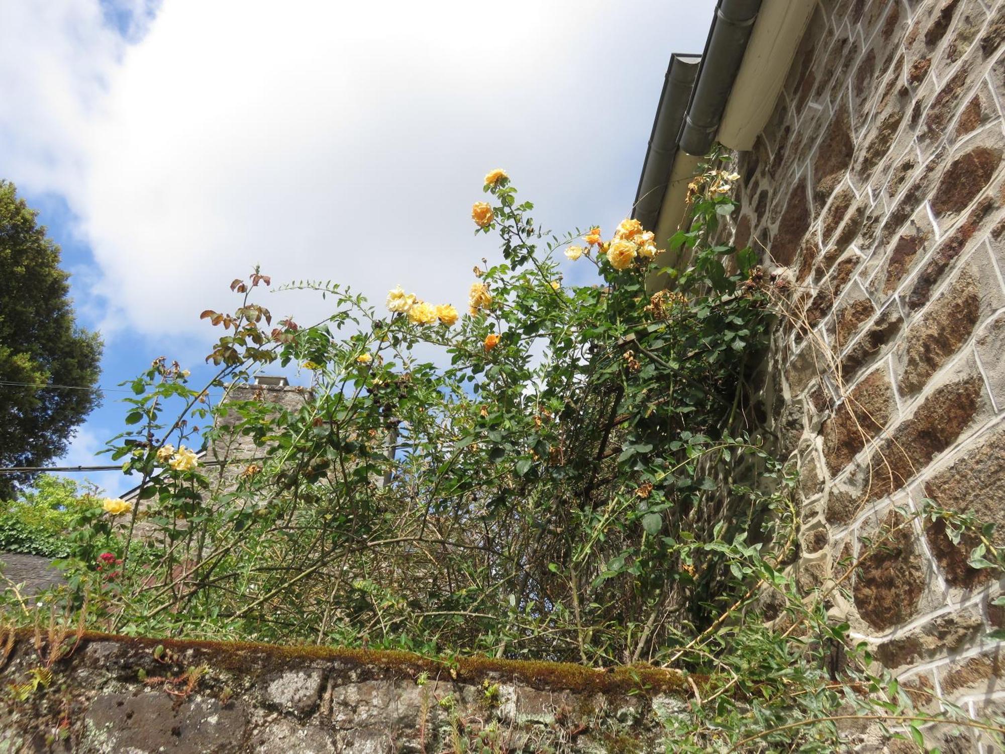 Le Jardin A Mordreuc Bed and Breakfast Pleudihen-sur-Rance Eksteriør billede